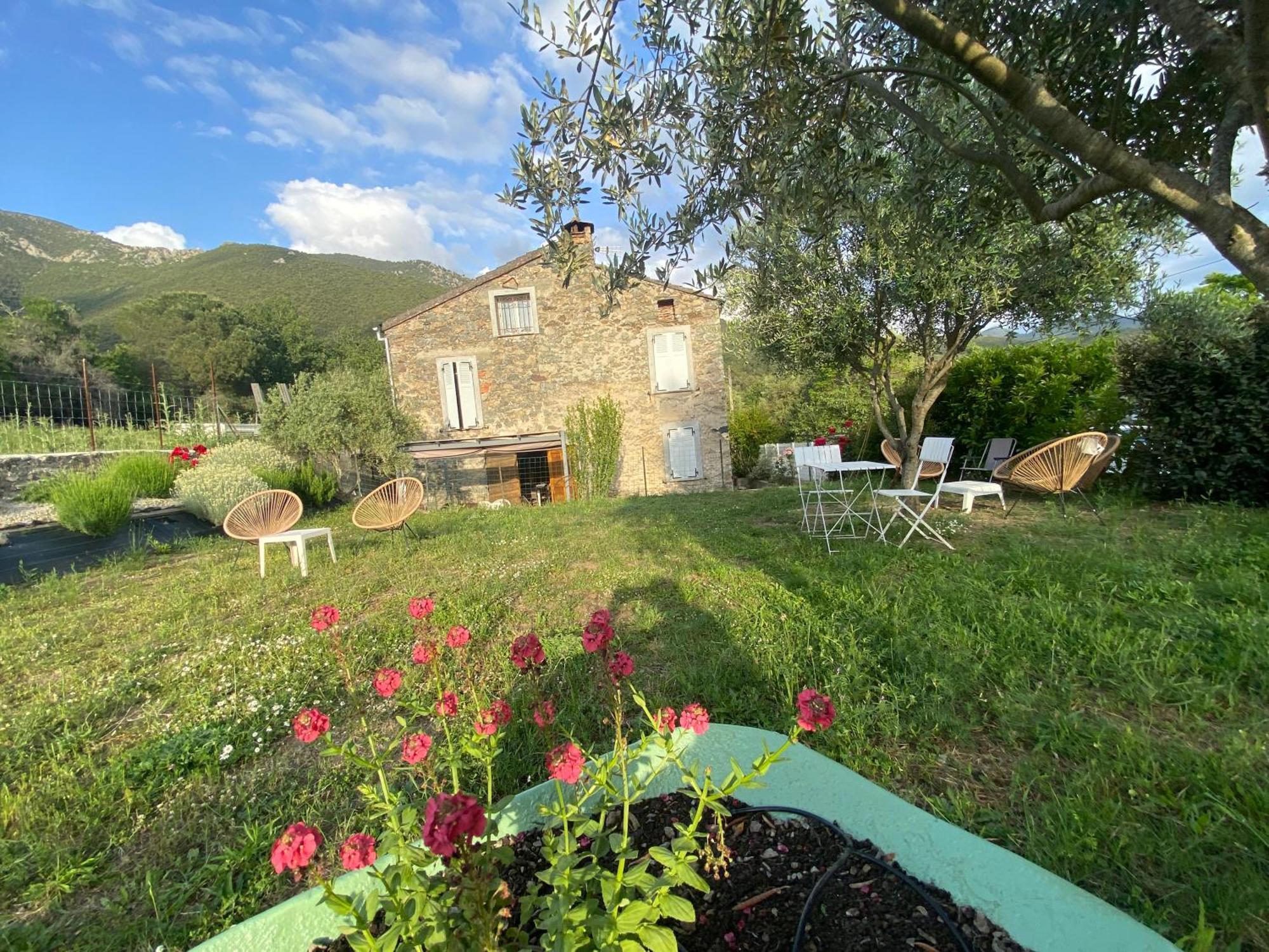 Casa Orani Villa Ponte-Leccia Buitenkant foto