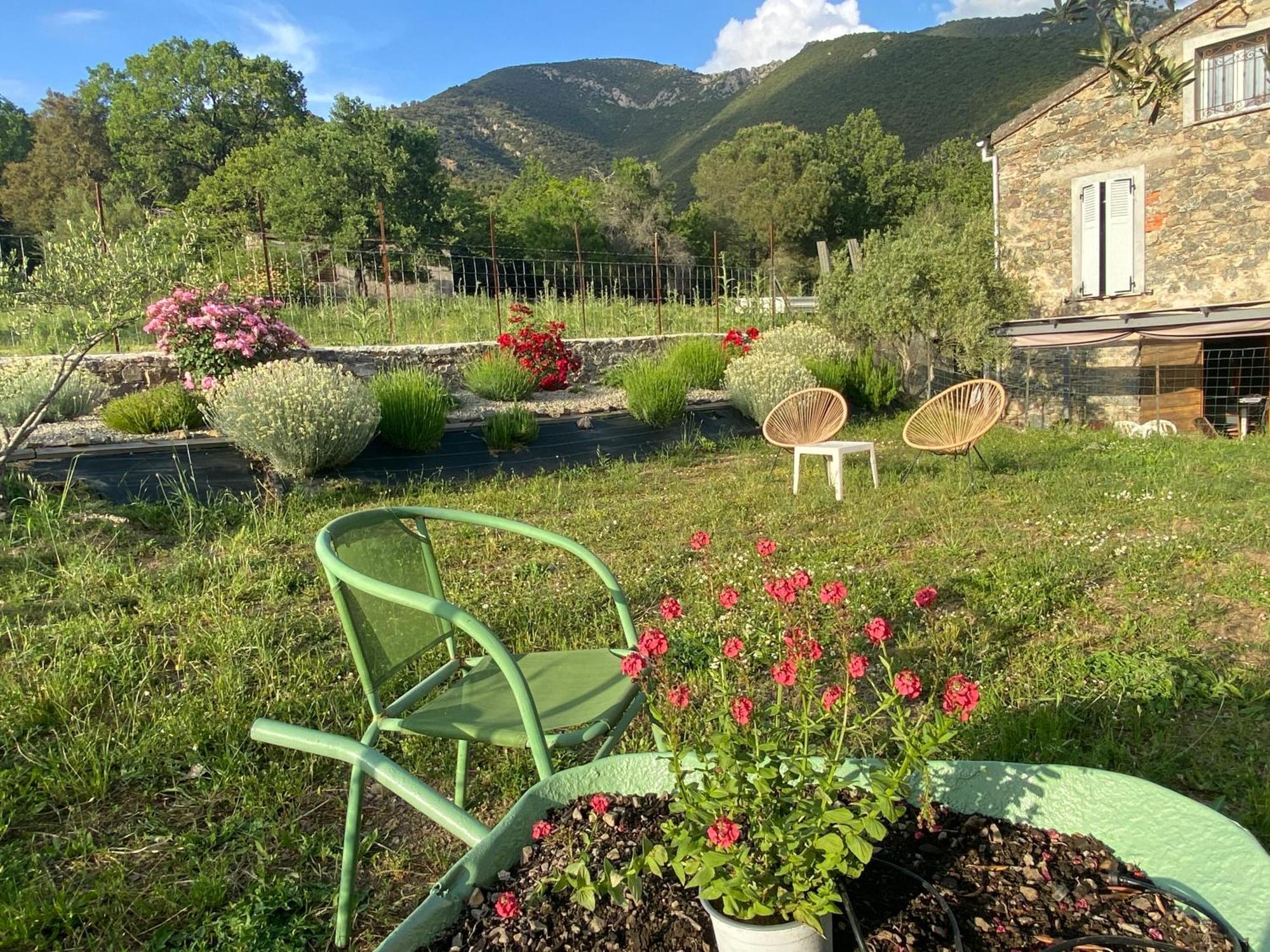 Casa Orani Villa Ponte-Leccia Buitenkant foto