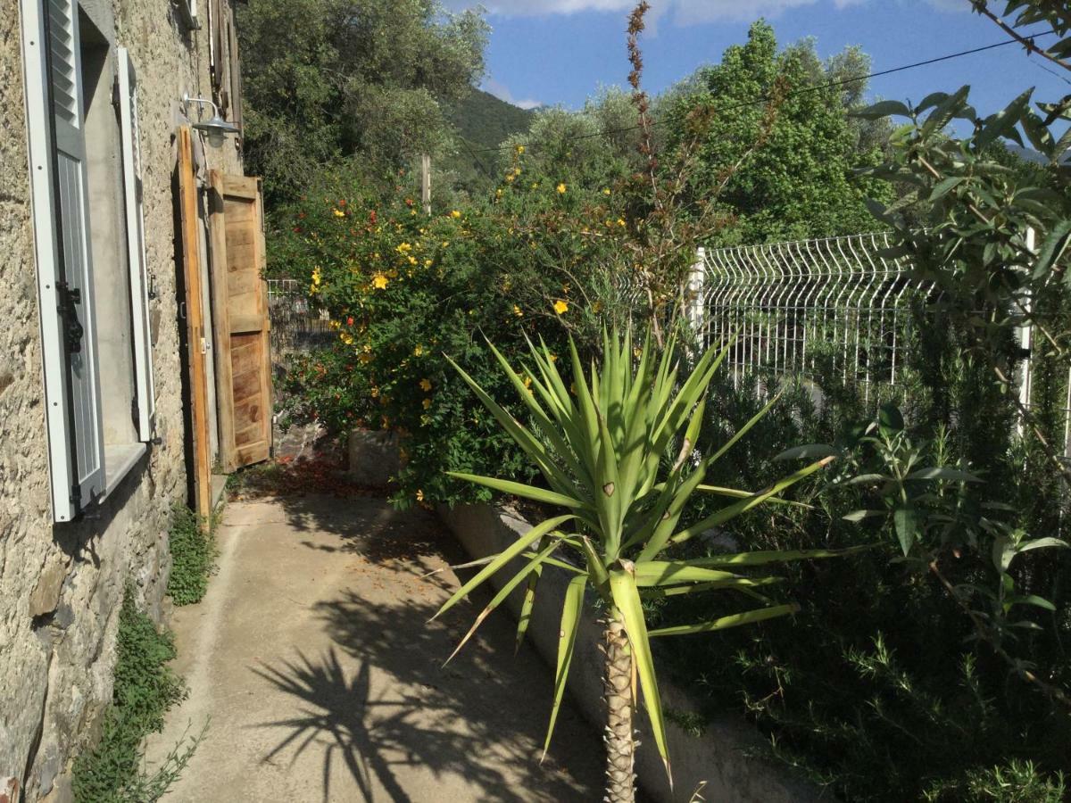 Casa Orani Villa Ponte-Leccia Kamer foto